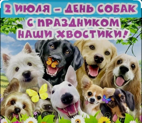 Международный день собак Международный день собак.